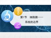 人教版 (新課標(biāo))高中生物必修1 3-1《細(xì)胞膜——系統(tǒng)的邊界》課件