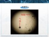人教版 (新課標(biāo))高中生物必修1 3-1《細(xì)胞膜——系統(tǒng)的邊界》課件