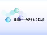 人教版 (新課標)高中生物必修1 3-2《細胞器--系統(tǒng)內的分工合作（第1課時）》課件