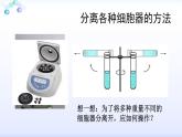 人教版 (新課標)高中生物必修1 3-2《細胞器--系統(tǒng)內的分工合作（第1課時）》課件
