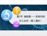 人教版 (新課標)高中生物必修1 3-2《細胞器——系統(tǒng)內的分工合作》第二課時課件