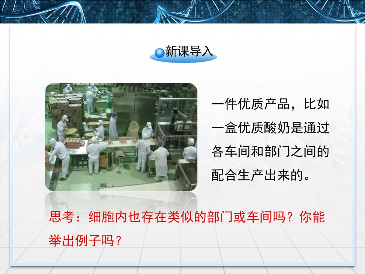 人教版 (新课标)高中生物必修1 3-2《细胞器——系统内的分工合作》第二课时课件第2页