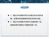 人教版 (新課標)高中生物必修1 3-2《細胞器——系統(tǒng)內的分工合作》第二課時課件