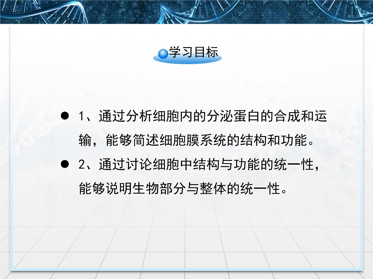 人教版 (新课标)高中生物必修1 3-2《细胞器——系统内的分工合作》第二课时课件第3页