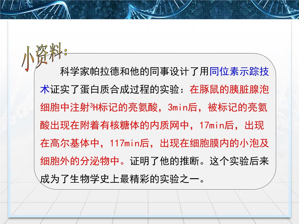 人教版 (新课标)高中生物必修1 3-2《细胞器——系统内的分工合作》第二课时课件第5页