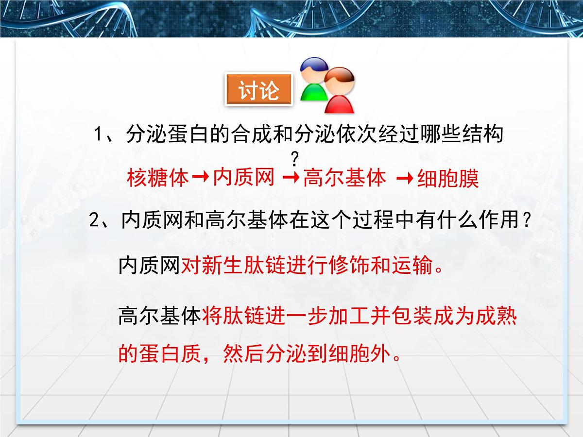 人教版 (新课标)高中生物必修1 3-2《细胞器——系统内的分工合作》第二课时课件第8页