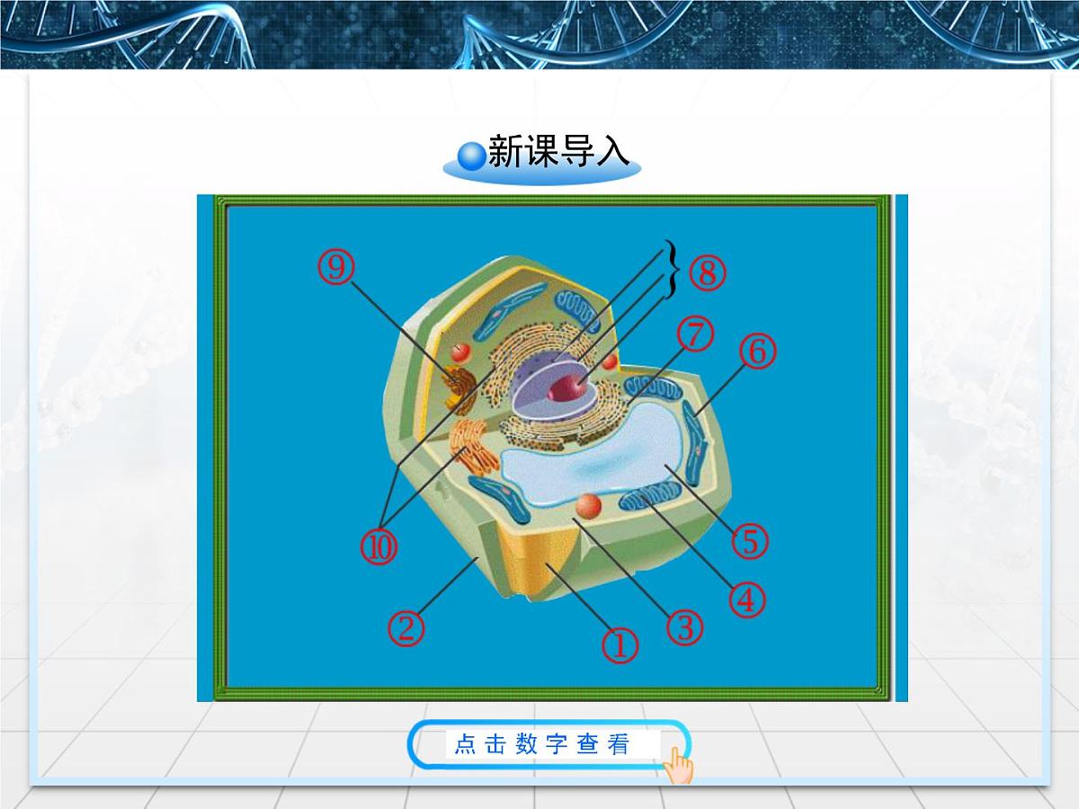 人教版 (新课标)高中生物必修1 3-2《细胞器——系统内的分工合作》第一课时课件第2页