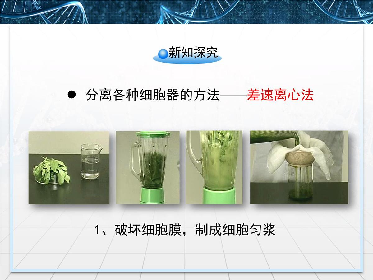 人教版 (新课标)高中生物必修1 3-2《细胞器——系统内的分工合作》第一课时课件第5页