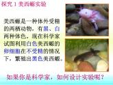 人教版 (新課標(biāo))高中生物必修1 3-3《細(xì)胞核——系統(tǒng)的控制中心》課件