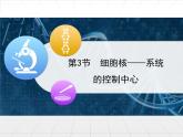 人教版 (新課標(biāo))高中生物必修1 3-3《細(xì)胞核——系統(tǒng)的控制中心》課件