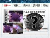 人教版 (新課標(biāo))高中生物必修1 3-3《細(xì)胞核——系統(tǒng)的控制中心》課件