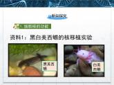 人教版 (新課標(biāo))高中生物必修1 3-3《細(xì)胞核——系統(tǒng)的控制中心》課件