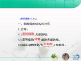 人教版 (新課標(biāo))高中生物必修1 3-3《細(xì)胞核——系統(tǒng)的控制中心》復(fù)習(xí)課件
