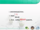 人教版 (新課標(biāo))高中生物必修1 3-3《細(xì)胞核——系統(tǒng)的控制中心》復(fù)習(xí)課件