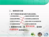 人教版 (新課標(biāo))高中生物必修1 3-3《細(xì)胞核——系統(tǒng)的控制中心》復(fù)習(xí)課件