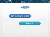 人教版 (新課標(biāo))高中生物必修1 5-1《降低化學(xué)反應(yīng)活化能的酶》第1課時(shí)課件
