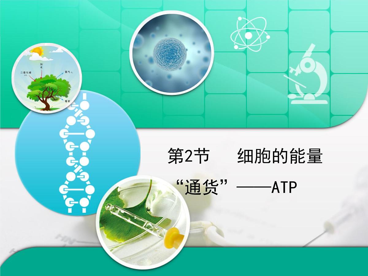 人教版 (新课标)高中生物必修1 5-2《细胞的能量“通货”——ATP》复习课件第1页