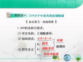 人教版 (新課標)高中生物必修1 5-2《細胞的能量“通貨”——ATP》復(fù)習(xí)課件