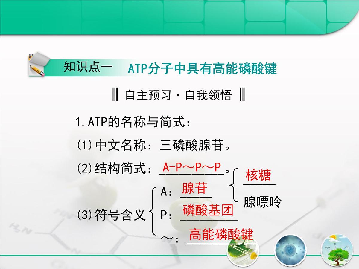 人教版 (新课标)高中生物必修1 5-2《细胞的能量“通货”——ATP》复习课件第3页