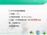 人教版 (新課標)高中生物必修1 5-2《細胞的能量“通貨”——ATP》復(fù)習(xí)課件