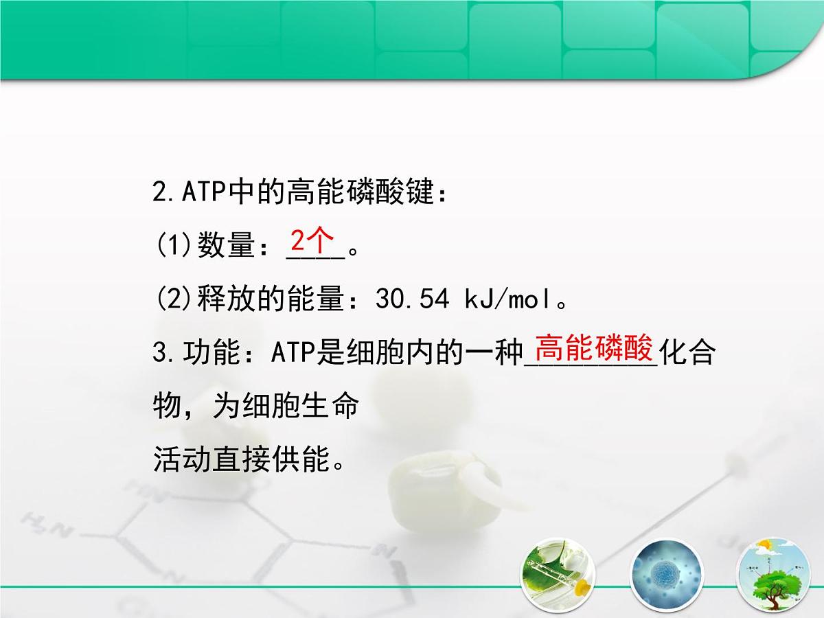 人教版 (新课标)高中生物必修1 5-2《细胞的能量“通货”——ATP》复习课件第4页