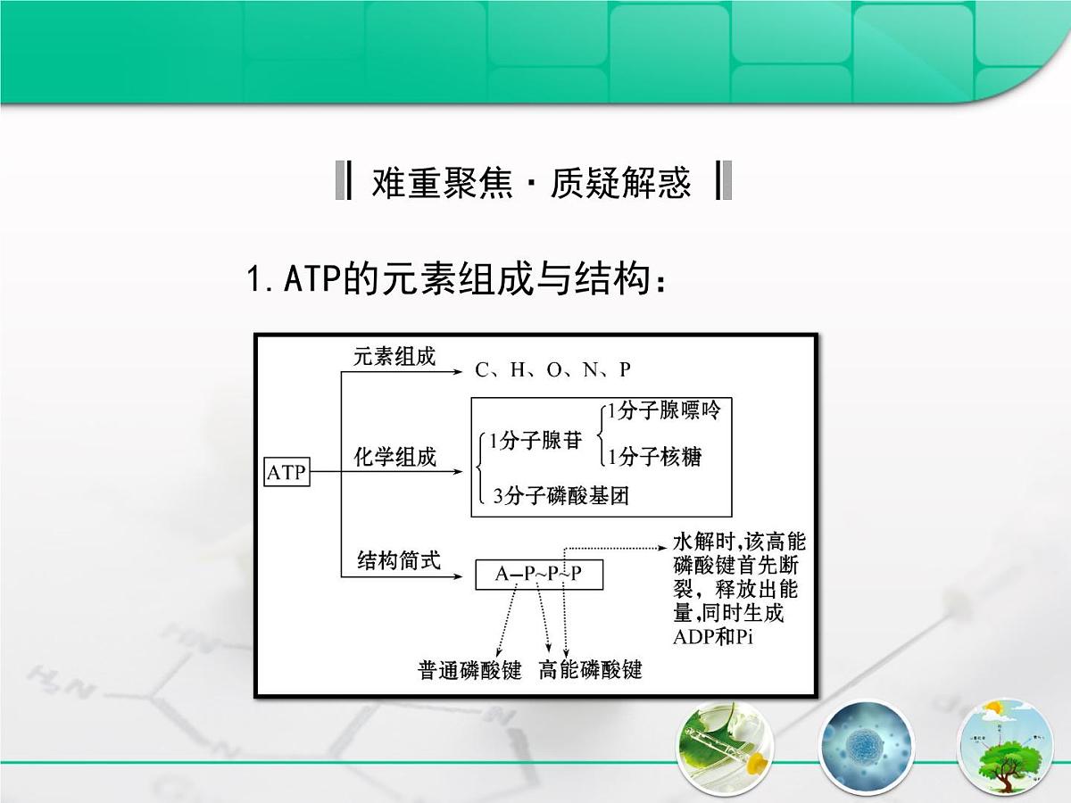 人教版 (新课标)高中生物必修1 5-2《细胞的能量“通货”——ATP》复习课件第5页