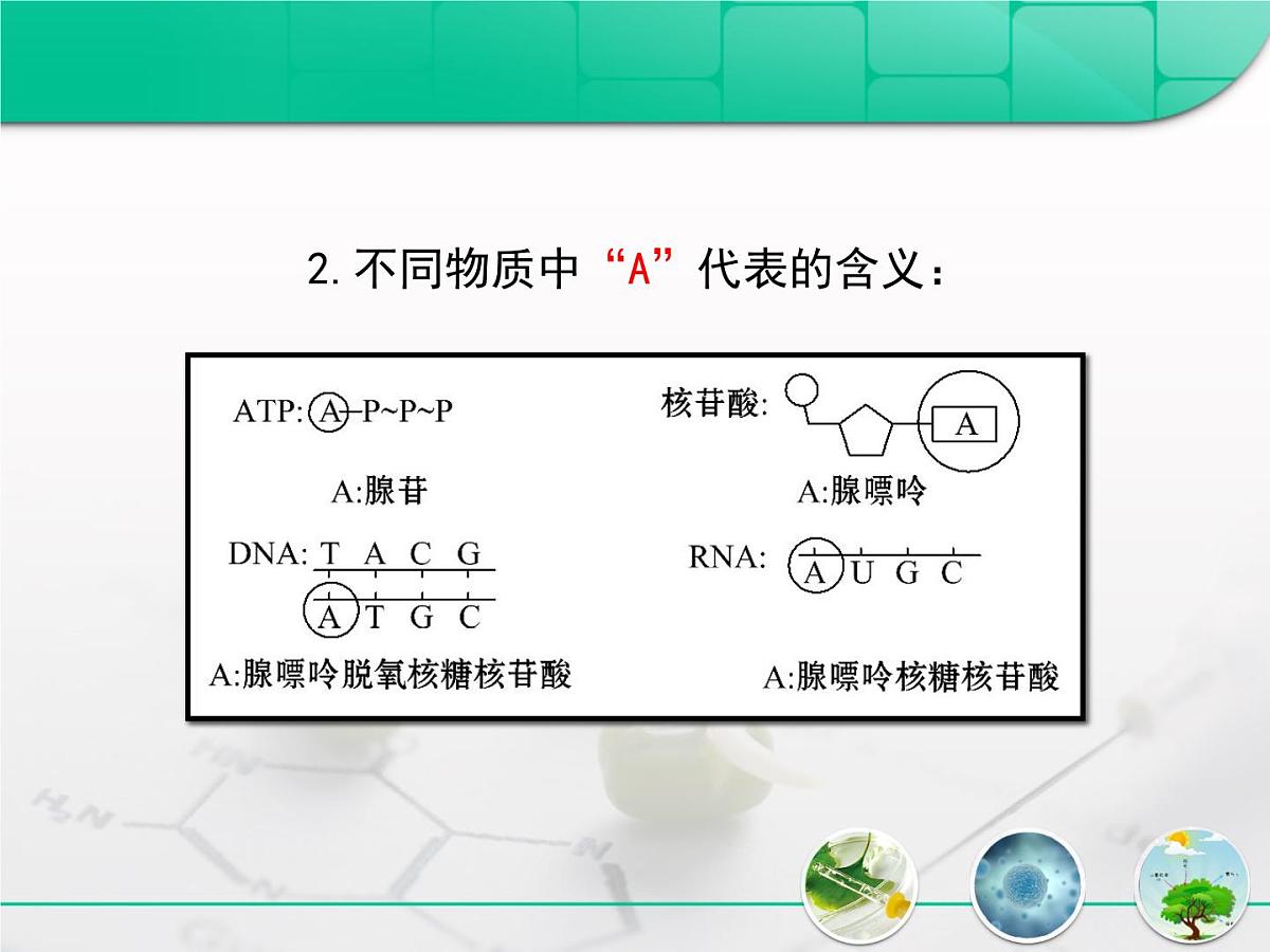 人教版 (新课标)高中生物必修1 5-2《细胞的能量“通货”——ATP》复习课件第6页