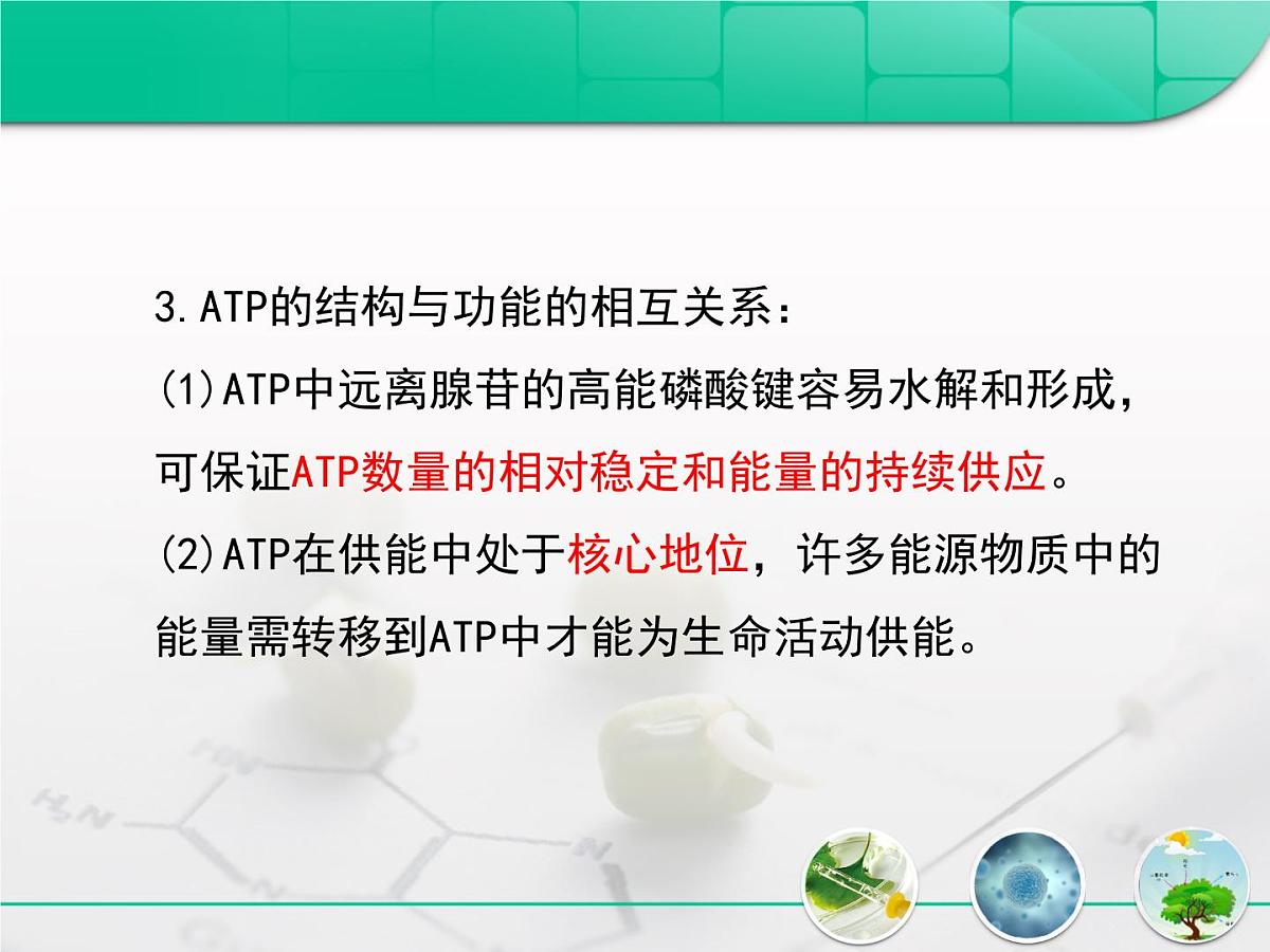 人教版 (新课标)高中生物必修1 5-2《细胞的能量“通货”——ATP》复习课件第7页