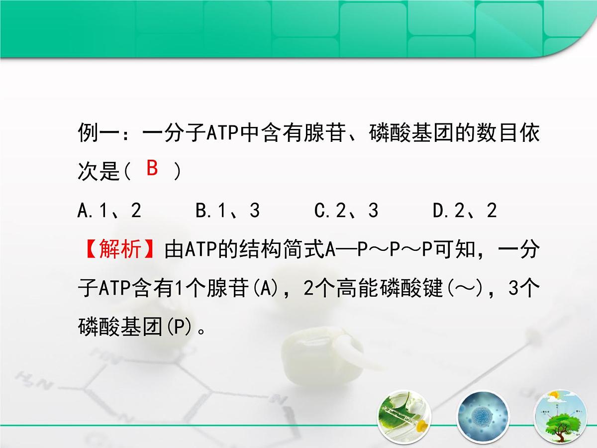 人教版 (新课标)高中生物必修1 5-2《细胞的能量“通货”——ATP》复习课件第8页