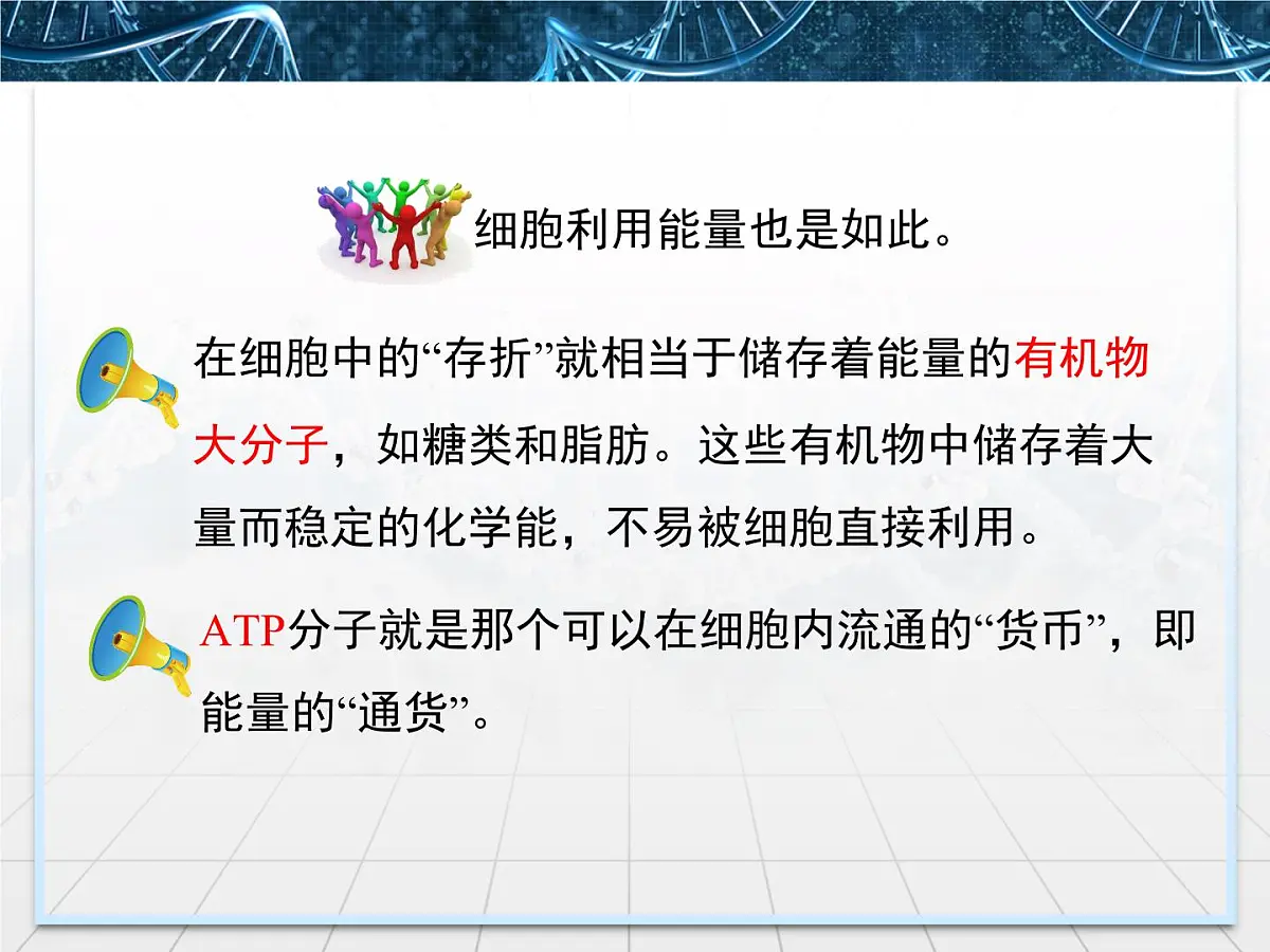 人教版 (新课标)高中生物必修1 5-2《细胞的能量“通货”——ATP》课件第3页