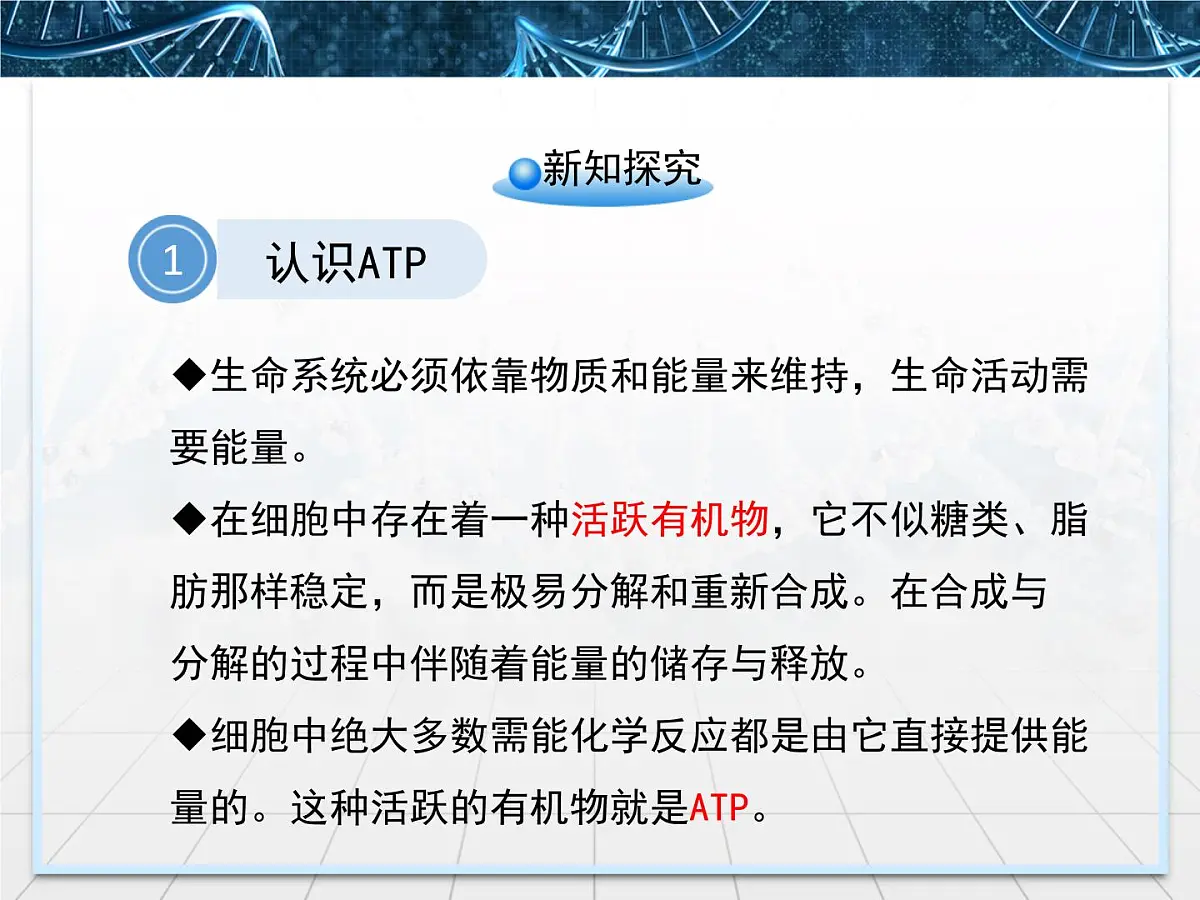 人教版 (新课标)高中生物必修1 5-2《细胞的能量“通货”——ATP》课件第5页