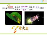 人教版 (新課標)高中生物必修1 5-2《細胞的能量“通貨”——ATP》課件