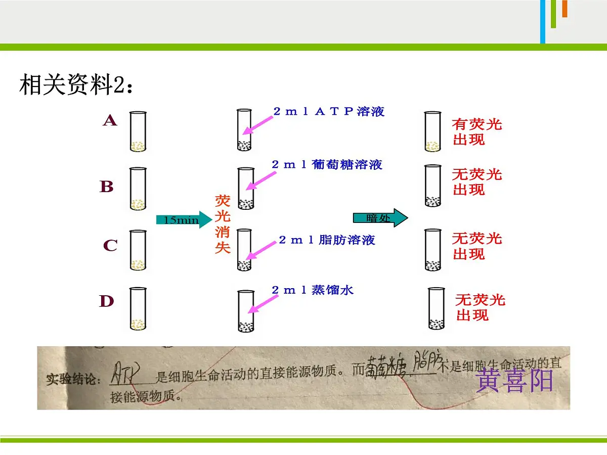 人教版 (新课标)高中生物必修1 5-2《细胞的能量“通货”——ATP》课件第4页