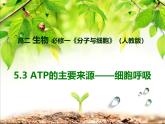 人教版 (新課標)高中生物必修1 5-3《ATP的主要來源——細胞呼吸》課件