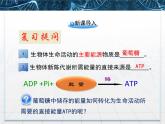 人教版 (新課標)高中生物必修1 5-3《ATP的主要來源——細胞呼吸》課件