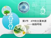 人教版 (新課標)高中生物必修1 5-3《ATP的主要來源——細胞呼吸》復習課件