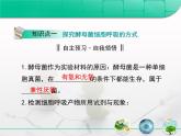 人教版 (新課標)高中生物必修1 5-3《ATP的主要來源——細胞呼吸》復習課件