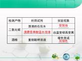 人教版 (新課標)高中生物必修1 5-3《ATP的主要來源——細胞呼吸》復習課件