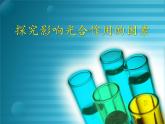 人教版 (新課標)高中生物必修1 5-4《能量之源——光與光合作用》（第4課時）課件