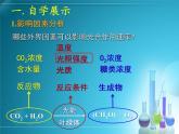 人教版 (新課標)高中生物必修1 5-4《能量之源——光與光合作用》（第4課時）課件
