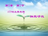 人教版 (新課標)高中生物必修1 5-3《ATP的主要來源——細胞呼吸》課件