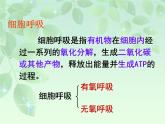 人教版 (新課標)高中生物必修1 5-3《ATP的主要來源——細胞呼吸》課件
