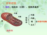 人教版 (新課標)高中生物必修1 5-3《ATP的主要來源——細胞呼吸》課件