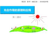 人教版 (新課標)高中生物必修1 5-4《能量之源——光與光合作用（第3課時）》課件