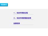 人教版 (新課標)高中生物必修1 5-4《能量之源——光與光合作用（第3課時）》課件