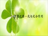 人教版 (新課標(biāo))高中生物必修1 5-4《能量之源——光與光合作用（第2課時(shí)）》課件