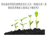 人教版 (新課標(biāo))高中生物必修1 5-4《能量之源——光與光合作用（第2課時(shí)）》課件