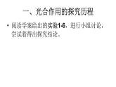人教版 (新課標(biāo))高中生物必修1 5-4《能量之源——光與光合作用（第2課時(shí)）》課件