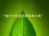 人教版 (新課標)高中生物必修1 5-4《能量之源——光與光合作用（第1課時）》課件