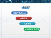 人教版 (新課標)高中生物必修1 5-3《ATP的主要來源——細胞呼吸》課件